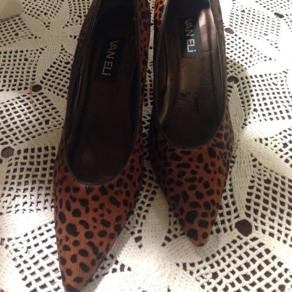 Vaneli pump - Picture 2 of 7